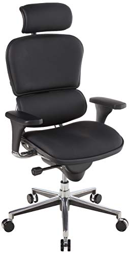 Ergohuman by Eurotech Seating Leather Swivel Chair,...