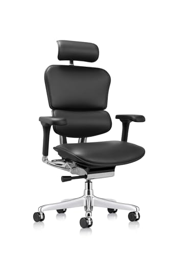 Ergohuman Ergonomic Executive Leather Chair, Black