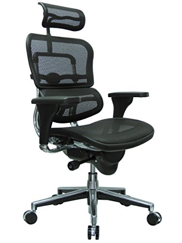 Eurotech Ergohuman GEN2 – High Back Black Mesh Office...