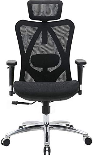 6 Best Office Chairs For Scoliosis (2022) | OfficeArrow