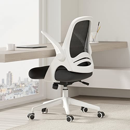 Hbada Office Chair with Flip-Up Armrests, Desk Chair...