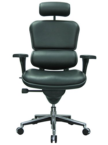 6 Best Office Chairs For Lower Back Pain in [currentyear]