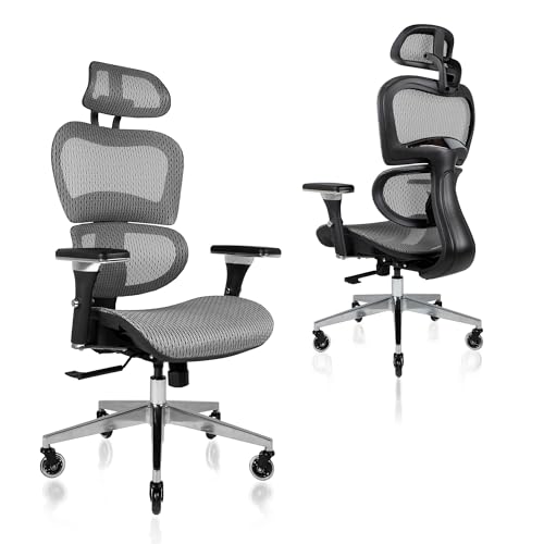 Nouhaus Ergo3D Ergonomic Office Chair Lumbar Support...