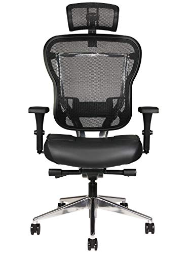 Oak Hollow Furniture Aloria Series Office Chair...