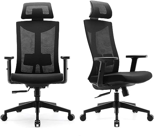 SIHOO Ergonomic Office Chair with Adjustable Lumbar...