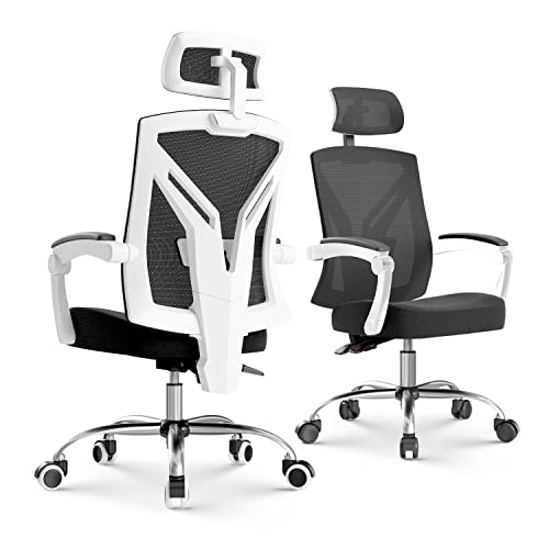 Hbada Ergonomic Office Chair High Back Desk Chair...