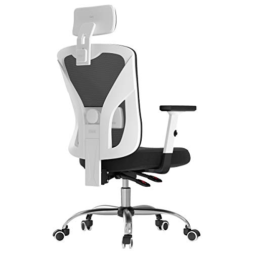 6 Best Office Chairs For Lower Back Pain In 2022 | OfficeArrow